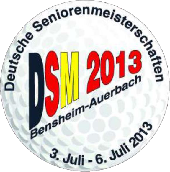 logo sdm13